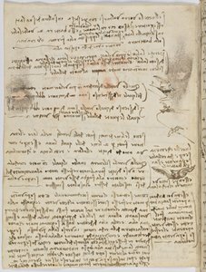 Birds Flight Code, Sheet 10 Verso